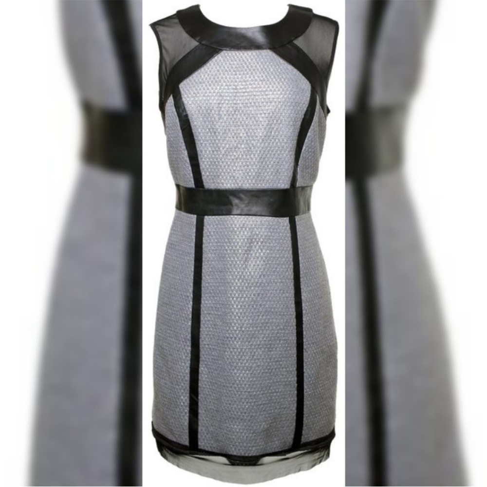 MILLY Metallic Dress with leather trim. - Picture 5 of 6